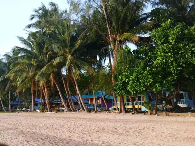 Mama O Chai Koh Tao – Photos 7